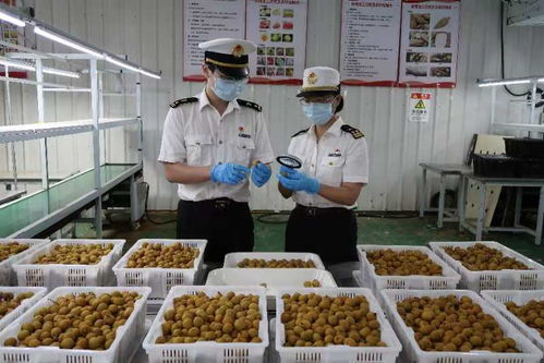 佛山海關(guān)深化服務(wù)家用電器企業(yè)長效機(jī)制 助力產(chǎn)業(yè)高質(zhì)量發(fā)展