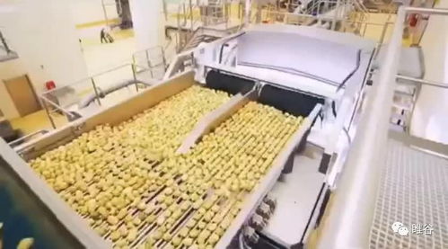 佳盛企智深加工共享工廠 創(chuàng)新農(nóng)產(chǎn)品生產(chǎn)模式，助力蔬菜產(chǎn)業(yè)升級